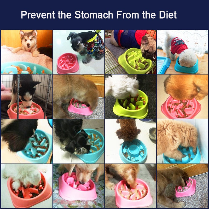 Anti Choke Bowl Puppy Dog Cat Slow Down Eatting Feeder Healthy Diet Dish