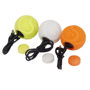 Pet Ball Toys Lights USB Charging