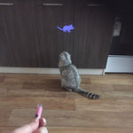 Cat Toy Creative and Funny Toys LED Pointer light With Bright Animation Mouse