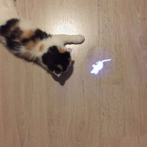 Cat Toy Creative and Funny Toys LED Pointer light With Bright Animation Mouse