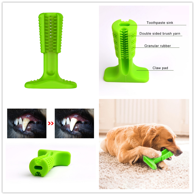 Pet top toothbrush stick