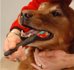 Pet Toothbrush Teddy Dog Brush Bad Breath Tartar Teeth Care Dog Cat Cleaning