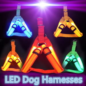 Dog Flashing Light Harness LED Dog Harness Leash Rope Belt Collar Vest