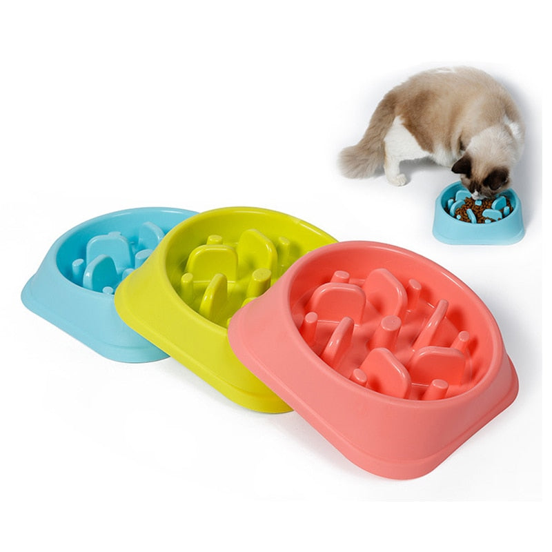Anti Choke Bowl Puppy Dog Cat Slow Down Eatting Feeder Healthy Diet Dish